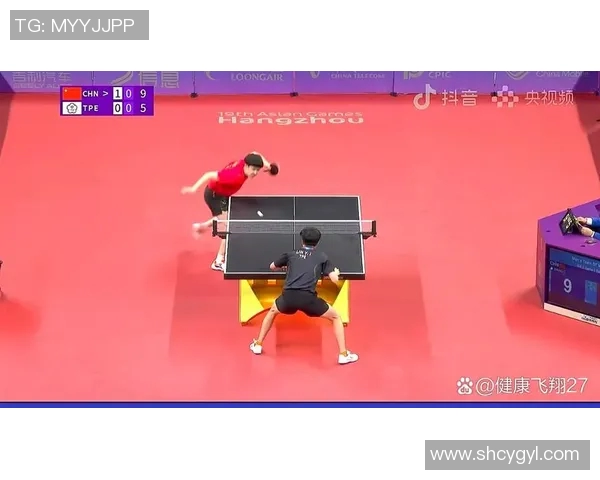 杭州乒乓球队的节奏揭秘：深度解析乒乓球运动的魅力与技巧