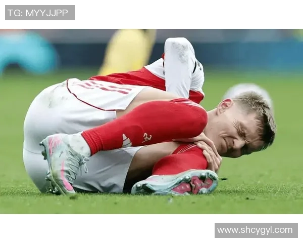 挪威足球明星的兵役经历与职业生涯的精彩交汇