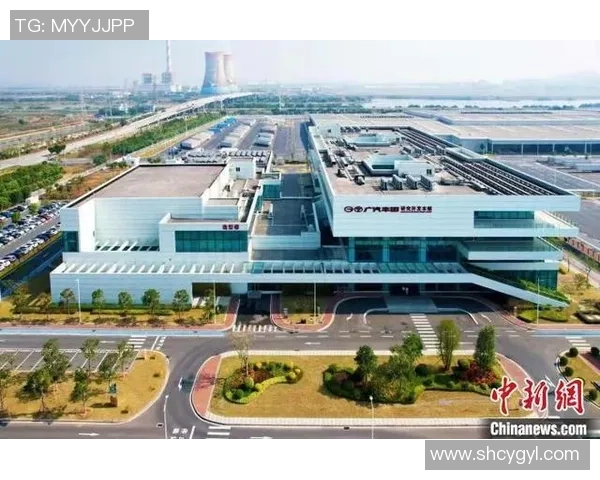 广州乒乓球队整体压制革新之路探秘与未来展望