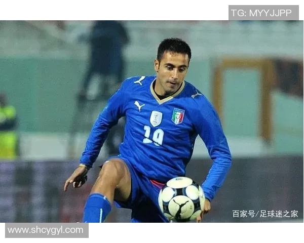 北欧足球之星：挪威芬兰丹麦的传奇球员与他们的辉煌成就