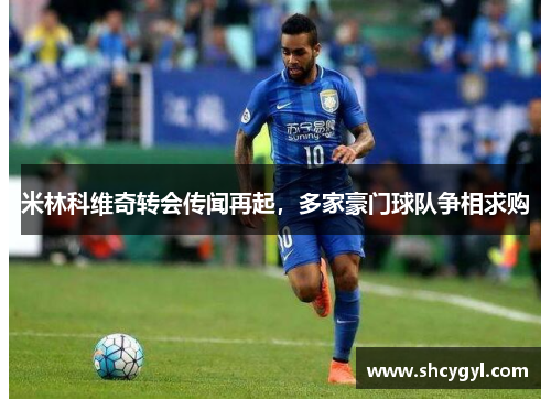 米林科维奇转会传闻再起，多家豪门球队争相求购