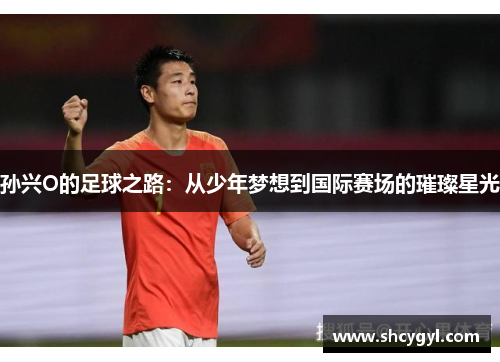 孙兴O的足球之路：从少年梦想到国际赛场的璀璨星光
